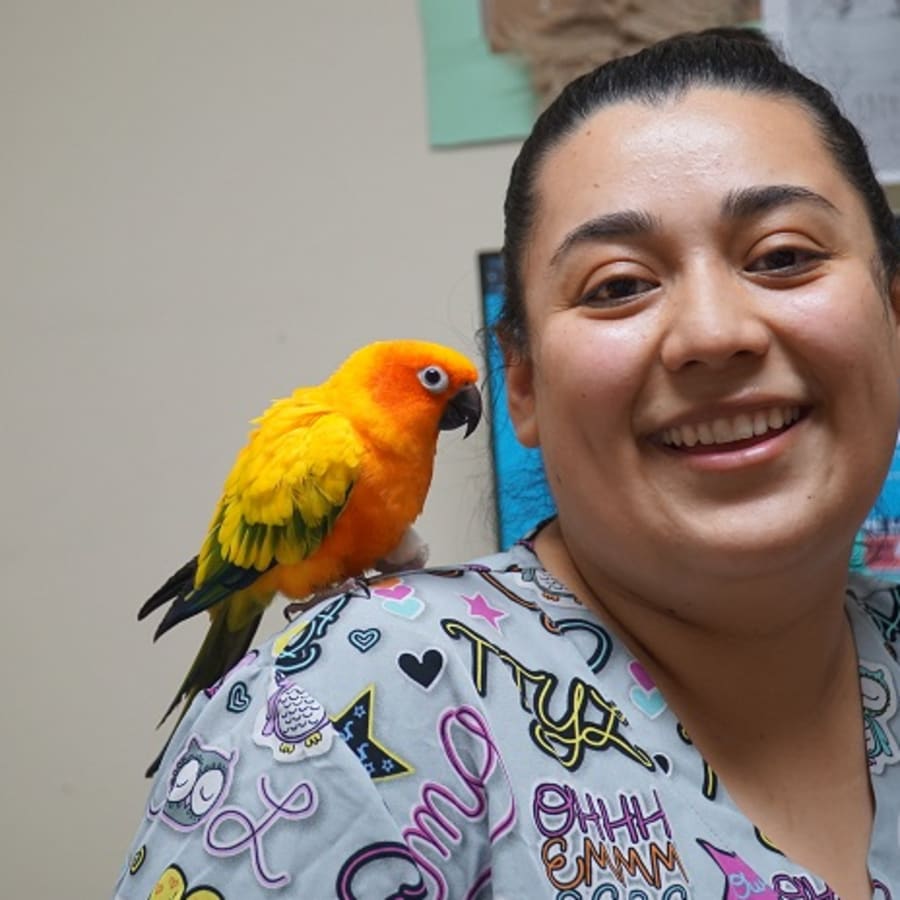 Avian & Exotic Pet Services, Modesto Veterinarians